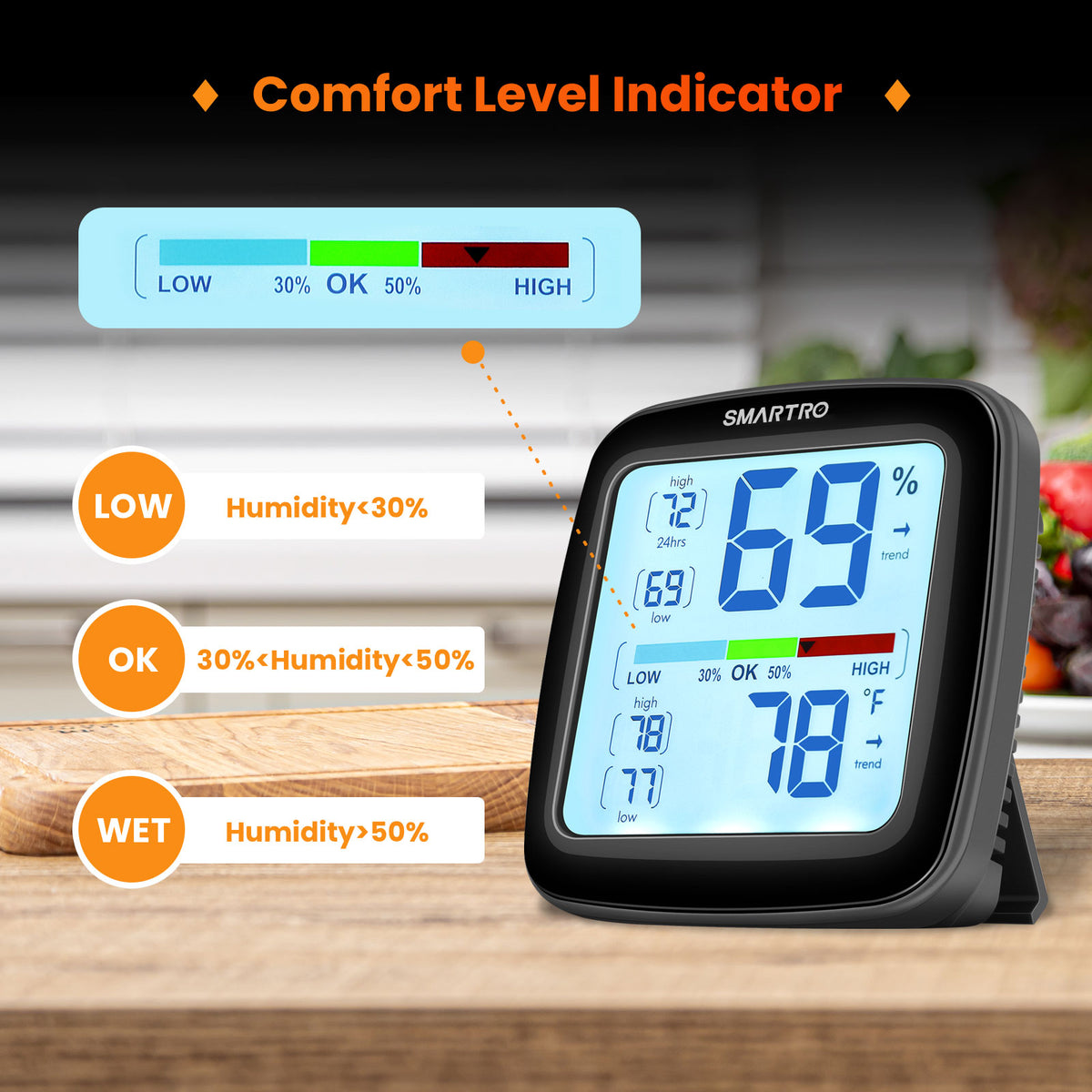 Thermometer with Humidity Meter