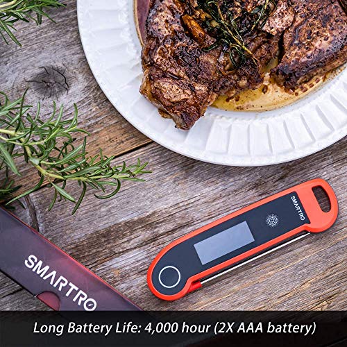 SMARTRO ST54 Dual Probe Digital Meat Thermometer for Food – Meat